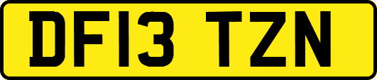 DF13TZN
