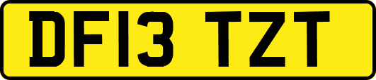 DF13TZT