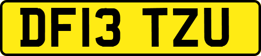 DF13TZU
