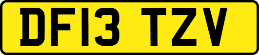 DF13TZV