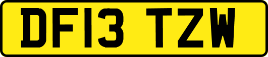 DF13TZW