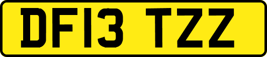 DF13TZZ