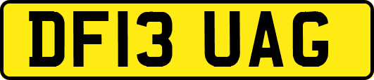 DF13UAG
