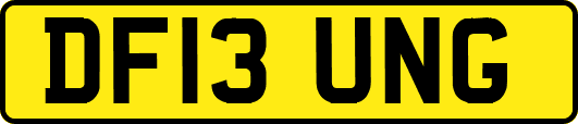 DF13UNG