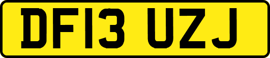 DF13UZJ