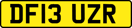 DF13UZR