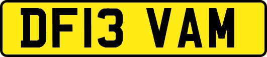 DF13VAM