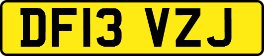 DF13VZJ