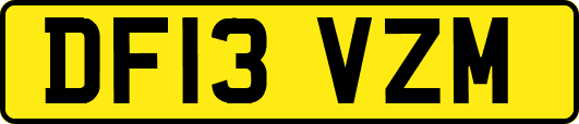 DF13VZM