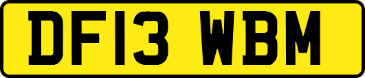 DF13WBM
