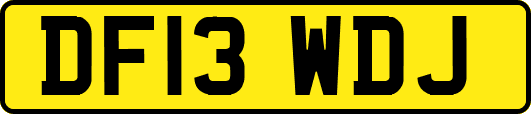 DF13WDJ