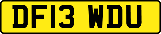 DF13WDU