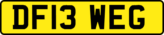 DF13WEG