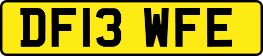 DF13WFE
