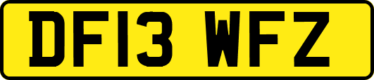 DF13WFZ