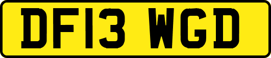 DF13WGD