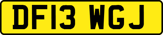 DF13WGJ