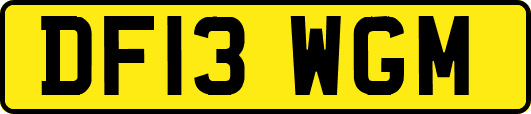 DF13WGM