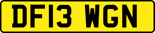 DF13WGN