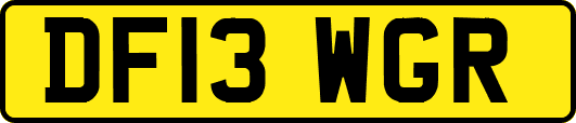 DF13WGR