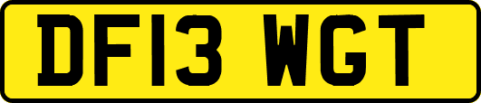 DF13WGT