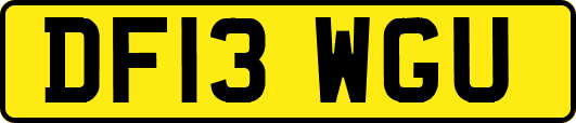 DF13WGU