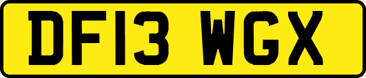 DF13WGX
