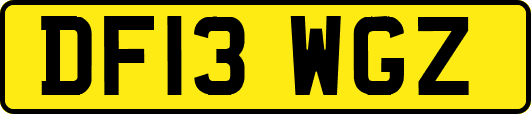 DF13WGZ
