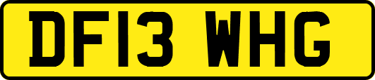 DF13WHG