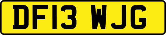 DF13WJG