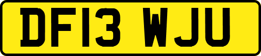 DF13WJU