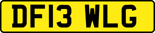 DF13WLG