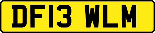 DF13WLM