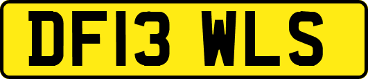 DF13WLS