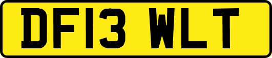 DF13WLT