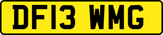 DF13WMG