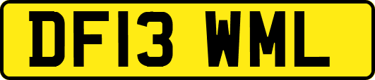 DF13WML