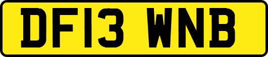 DF13WNB