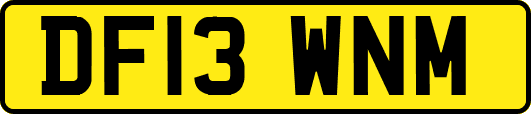 DF13WNM