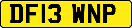 DF13WNP