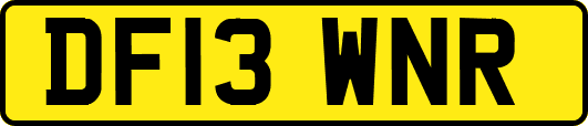 DF13WNR