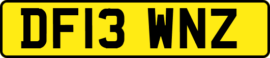 DF13WNZ