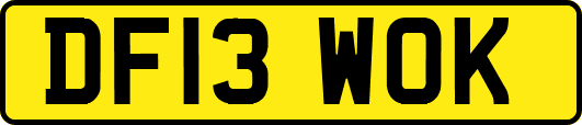 DF13WOK