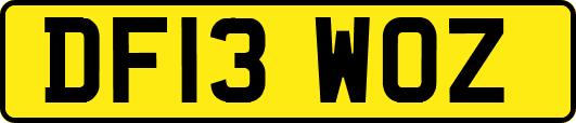 DF13WOZ