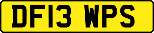 DF13WPS