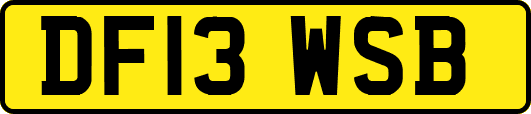 DF13WSB