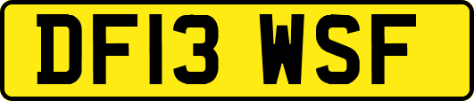 DF13WSF