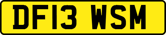DF13WSM