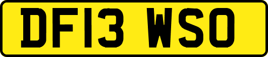 DF13WSO