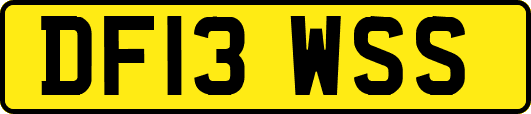 DF13WSS